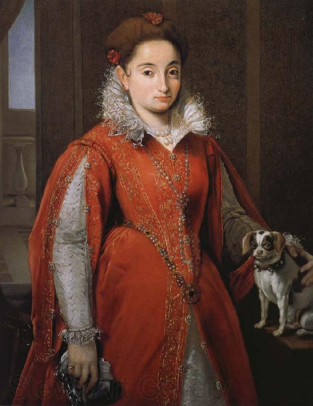 Alessandro Allori With the red dog lady France oil painting art